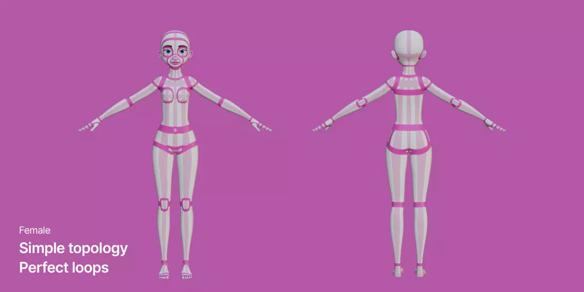 Stylized female and male base mesh Free low-poly 3D model_1