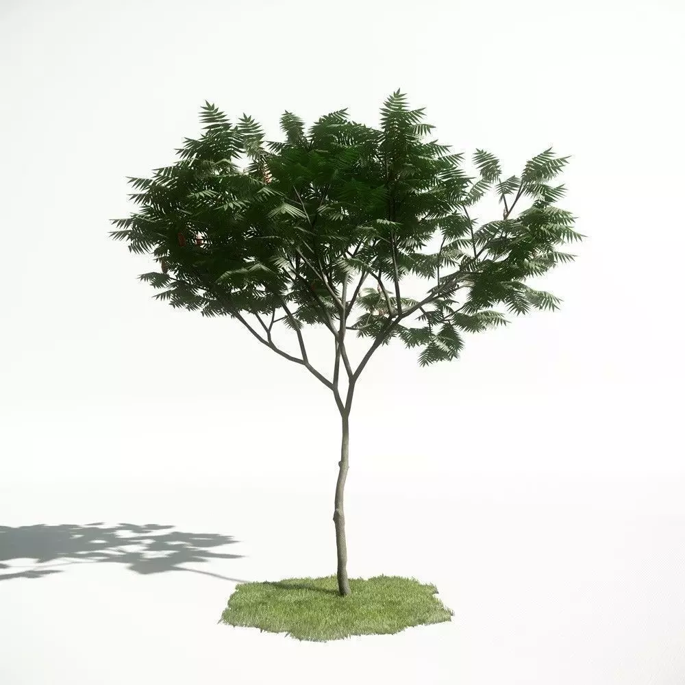 Tree 05 amce1 3D model