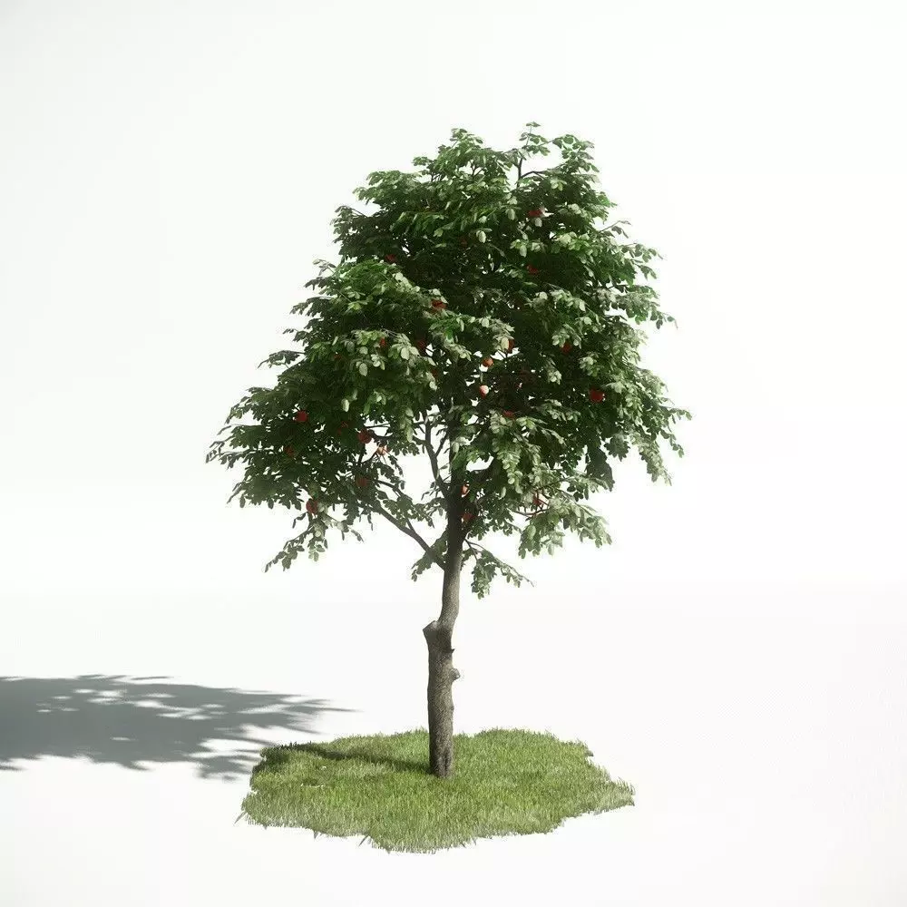 Tree 09 amce1 3D model_0
