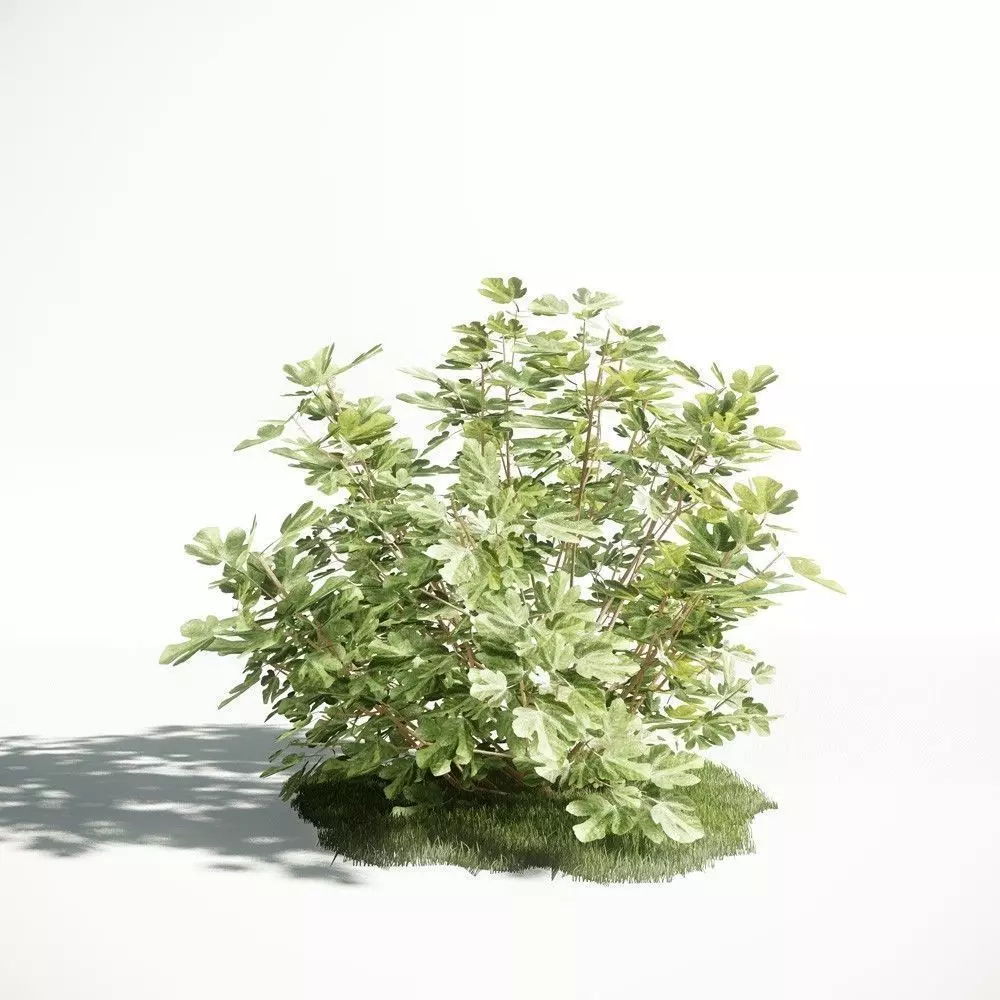 Plant 56 amce1 3D model_0