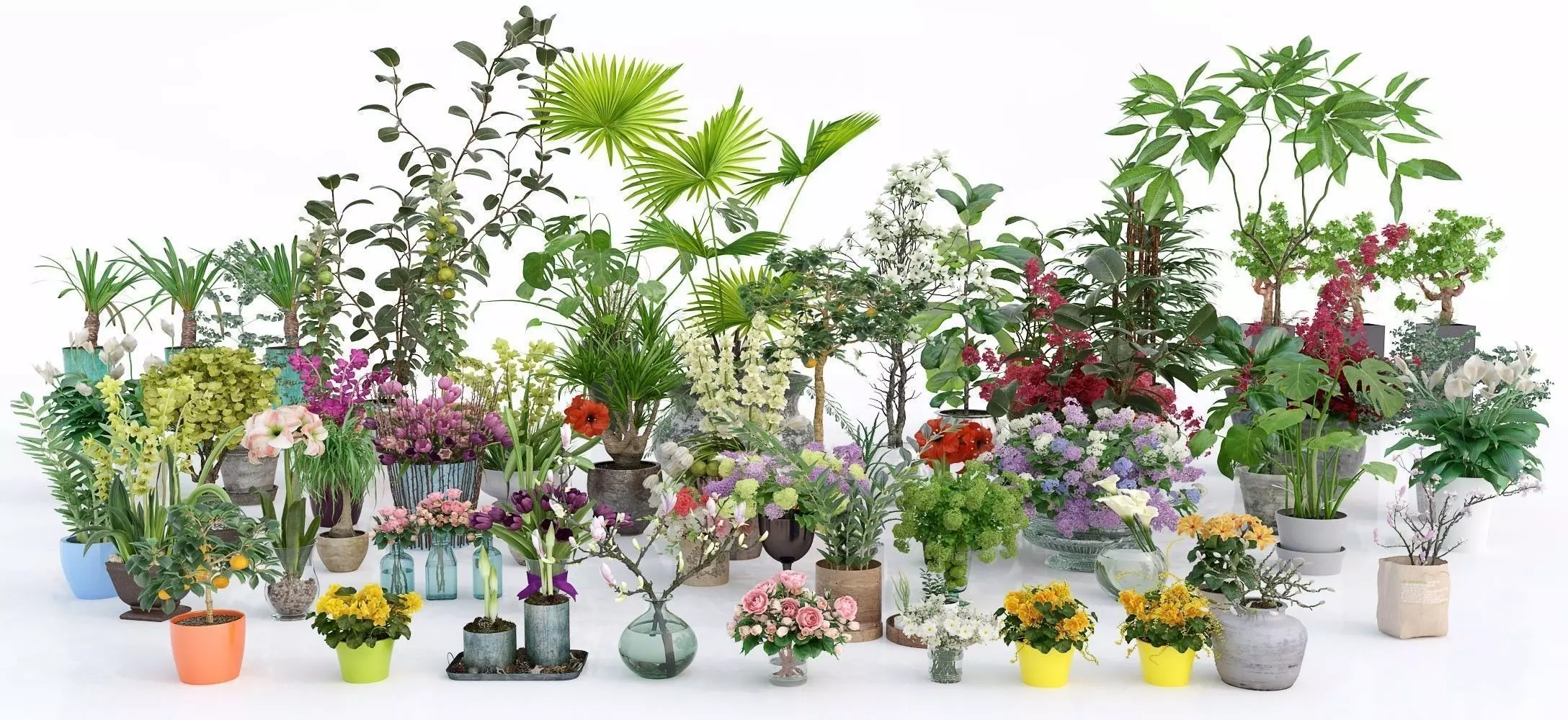 Archmodels vol 173 - indoor plants and flowers models 3D model