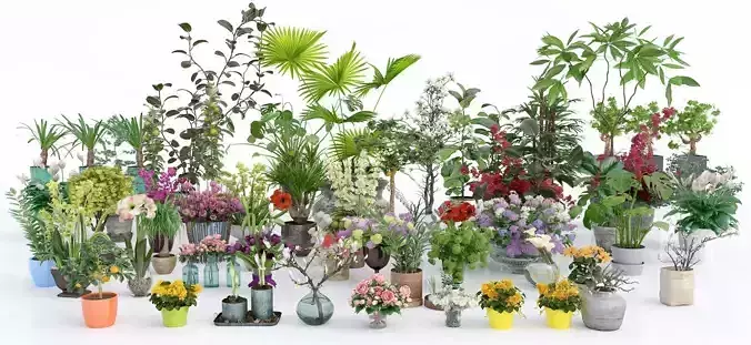 Archmodels vol 173 - indoor plants and flowers models 3D model