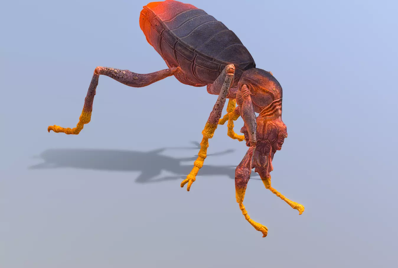 BEETLE Bug Teleport Fbx Png 3D model_0
