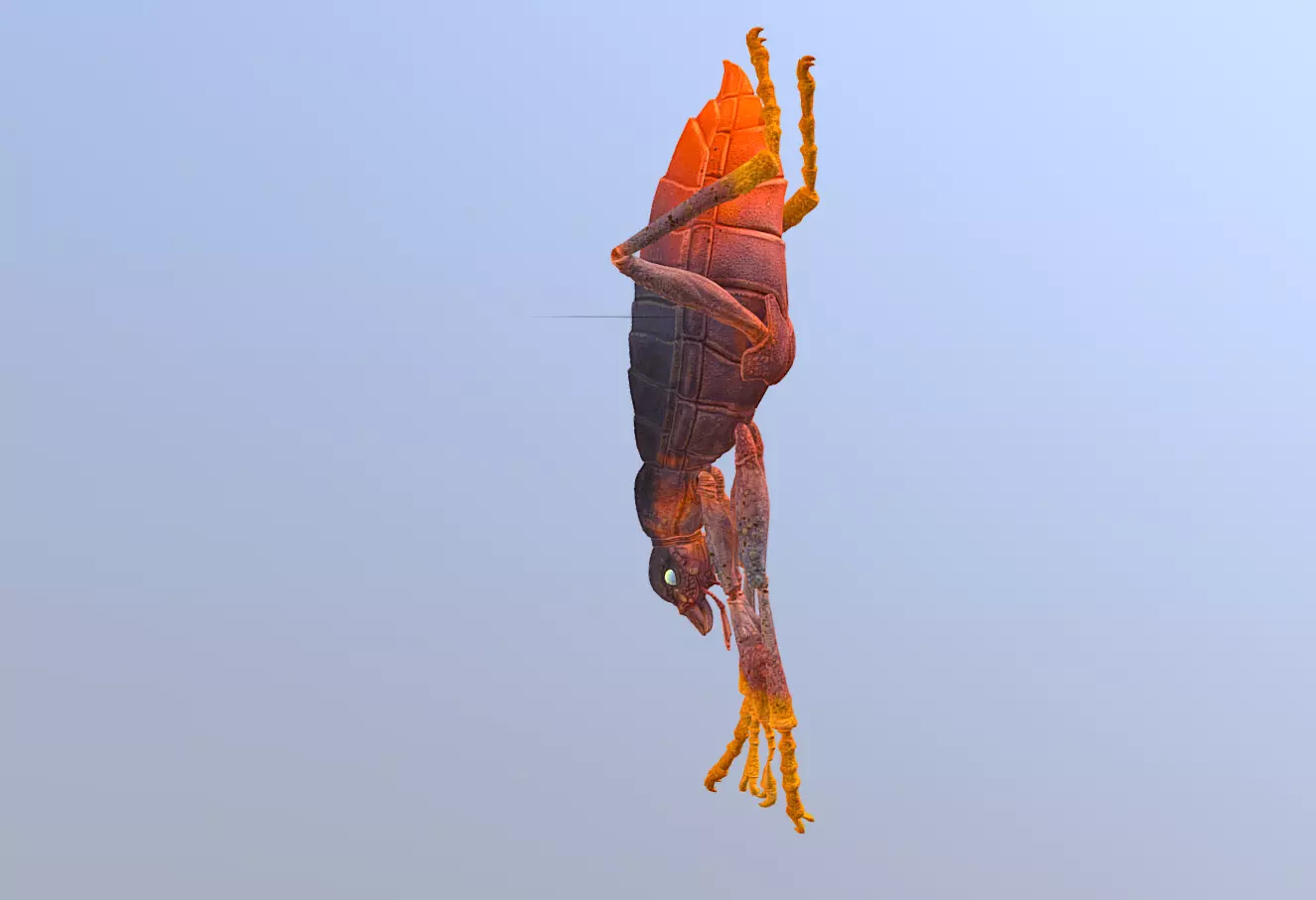 BEETLE Bug Teleport Fbx Png 3D model_2