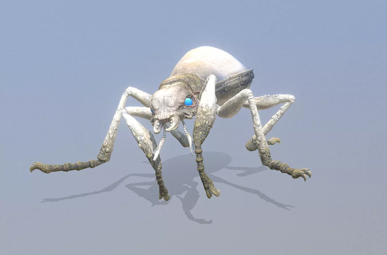BEETLE Bug Digging Fbx Png 3D model_2