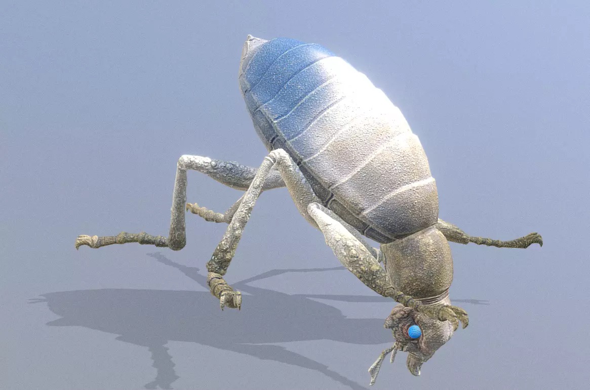 BEETLE Bug Digging Fbx Png 3D model_0