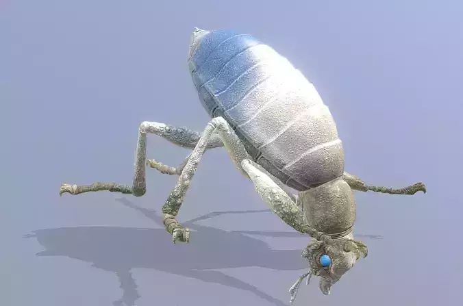 BEETLE Bug Digging Fbx Png