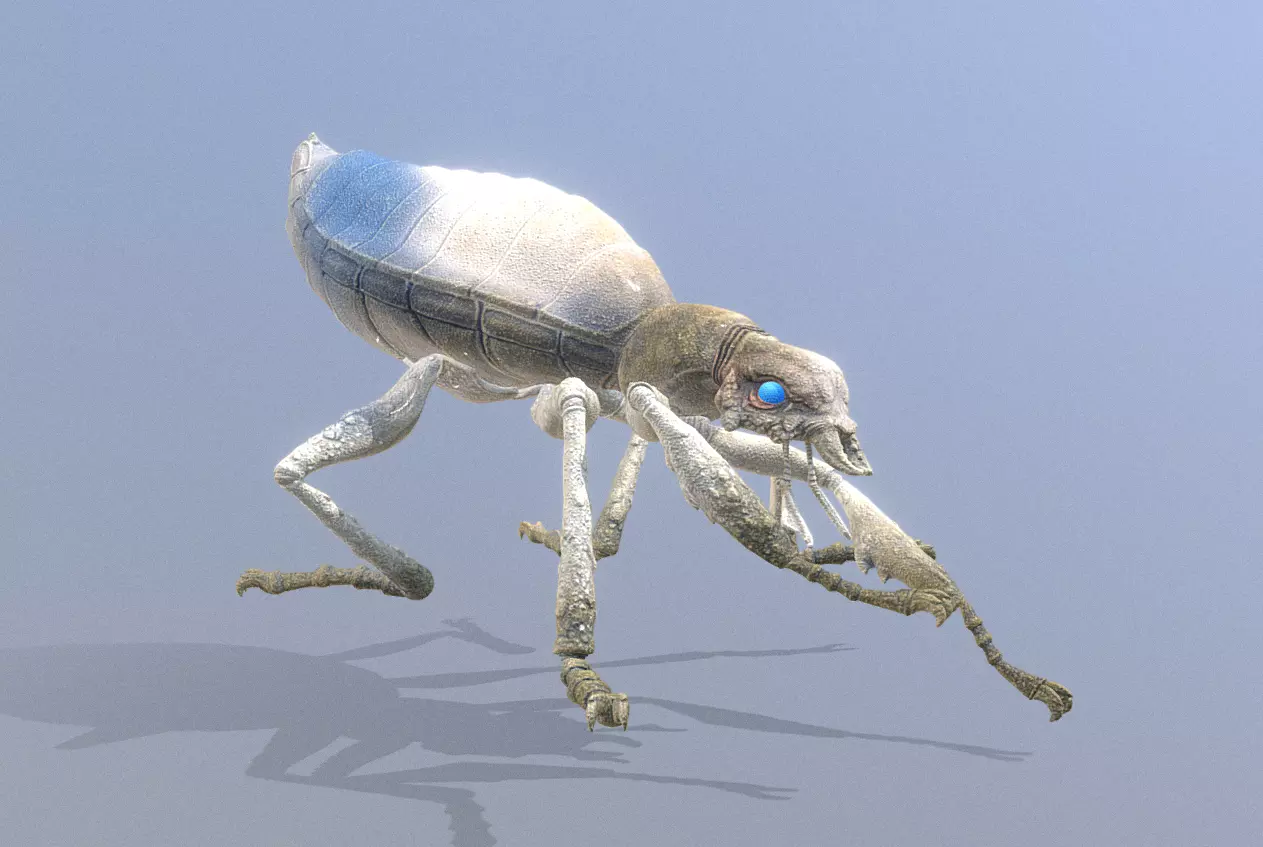 BEETLE Bug Digging Fbx Png 3D model_1