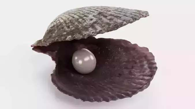 -Pearl in Shell V2-