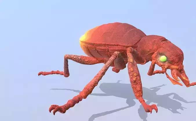 Beetle Bug Eating Fbx Png