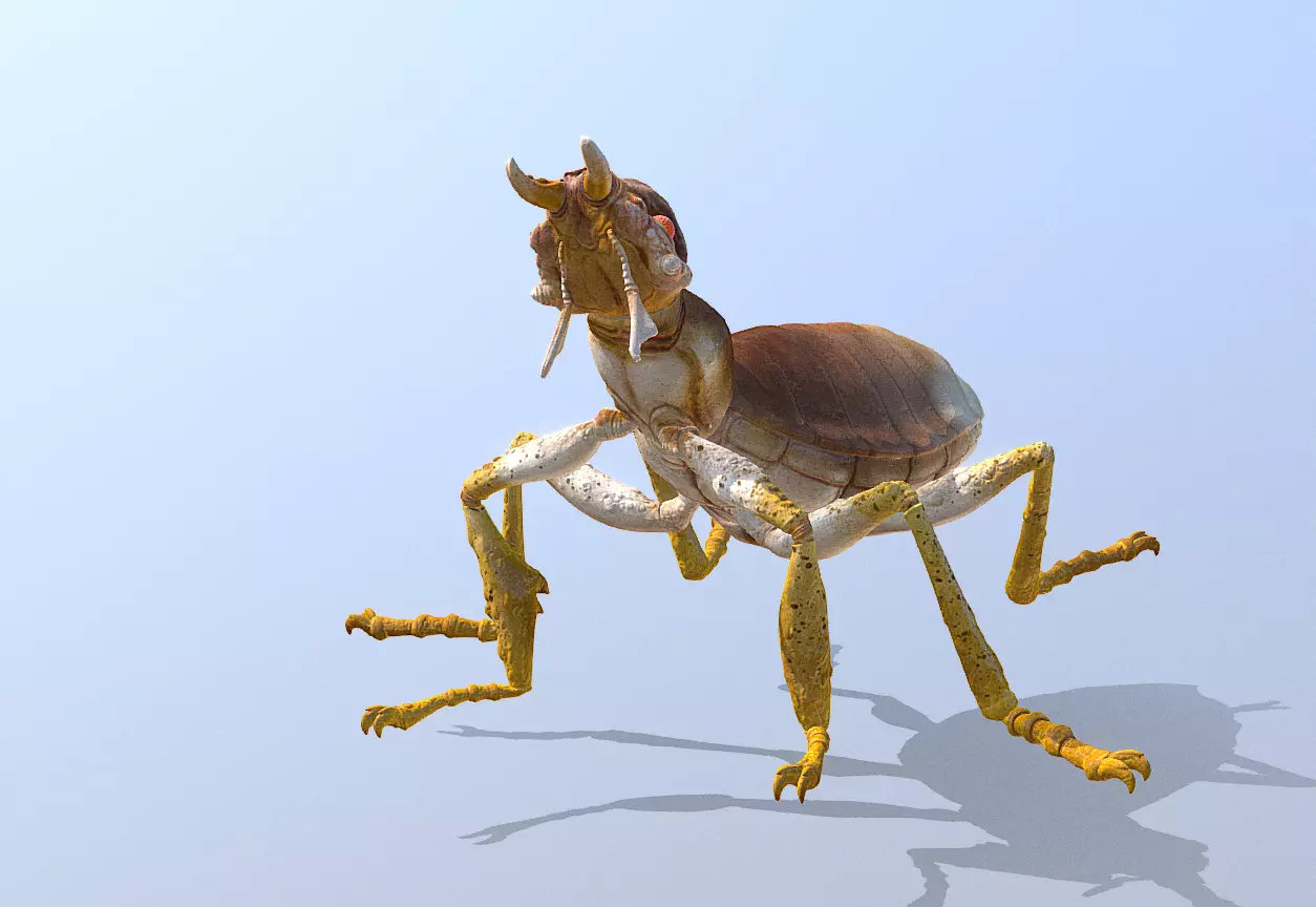 BEETLE Bug Howling Fbx Png 3D model_1