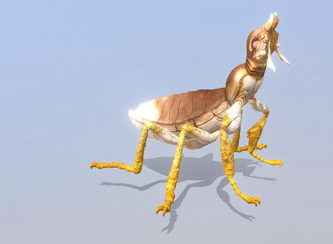 BEETLE Bug Howling Fbx Png 3D model_0