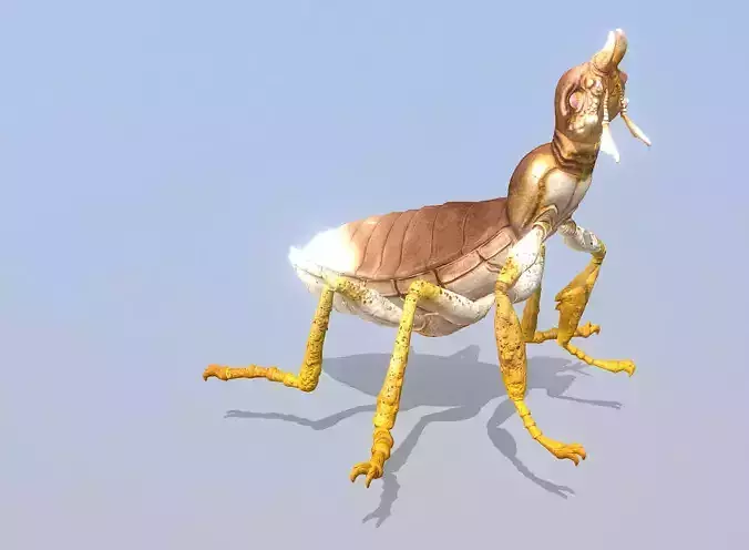 BEETLE Bug Howling Fbx Png