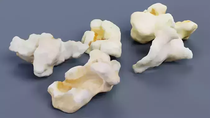 Popcorn - Multiple Popped Corn Kernels 3D model 5