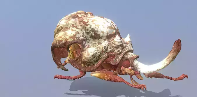 BEETLE BUG Walking Fbx Png