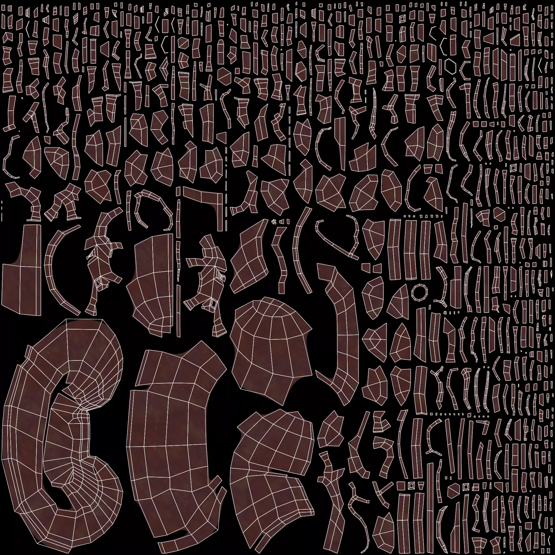 -Realistic Kidney Section- 3D model_6