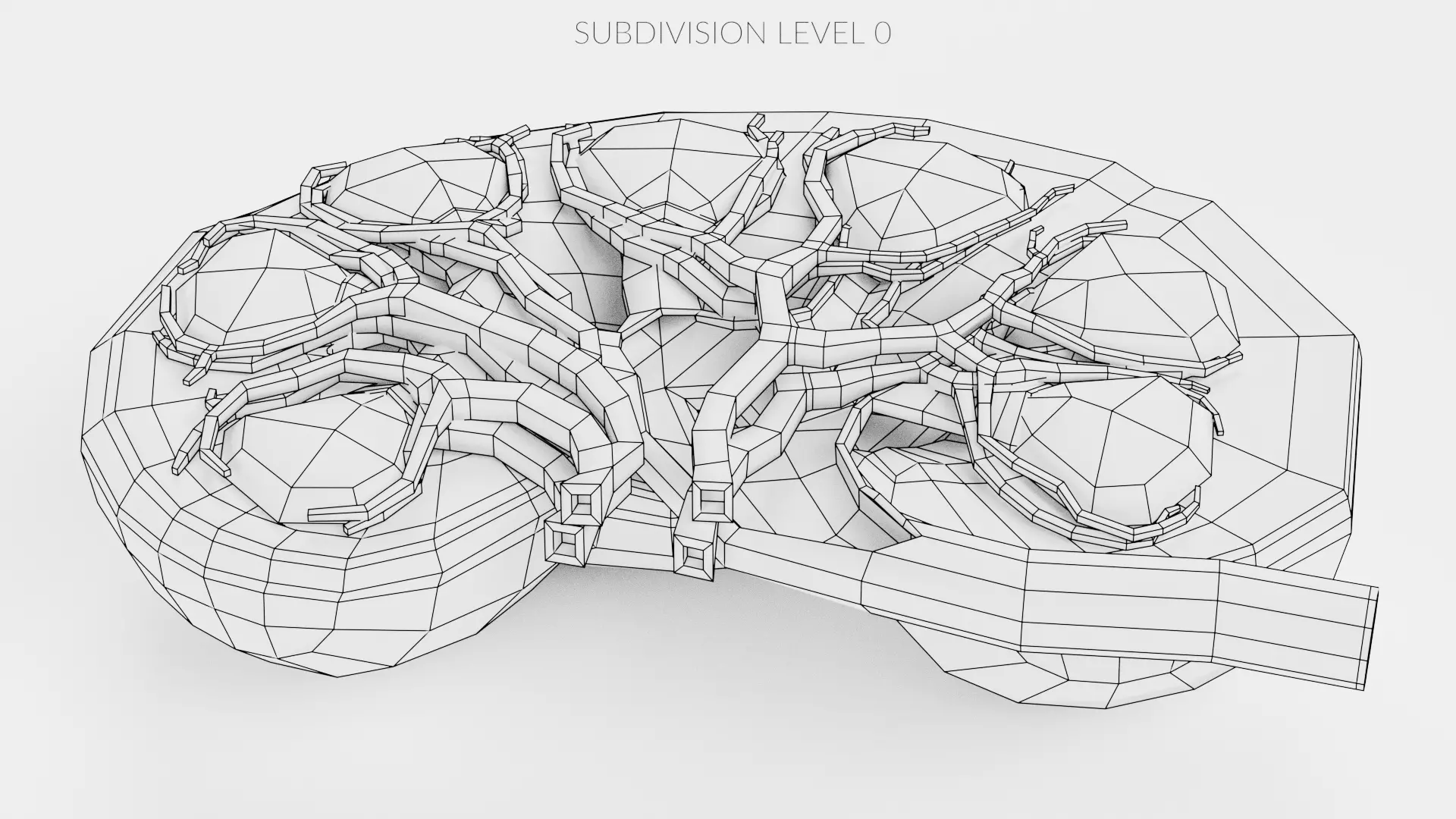 -Realistic Kidney Section- 3D model_9