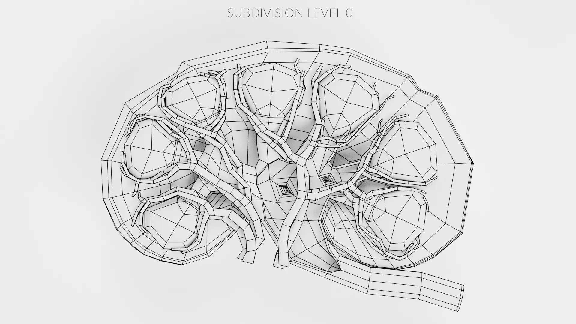 -Realistic Kidney Section- 3D model_7