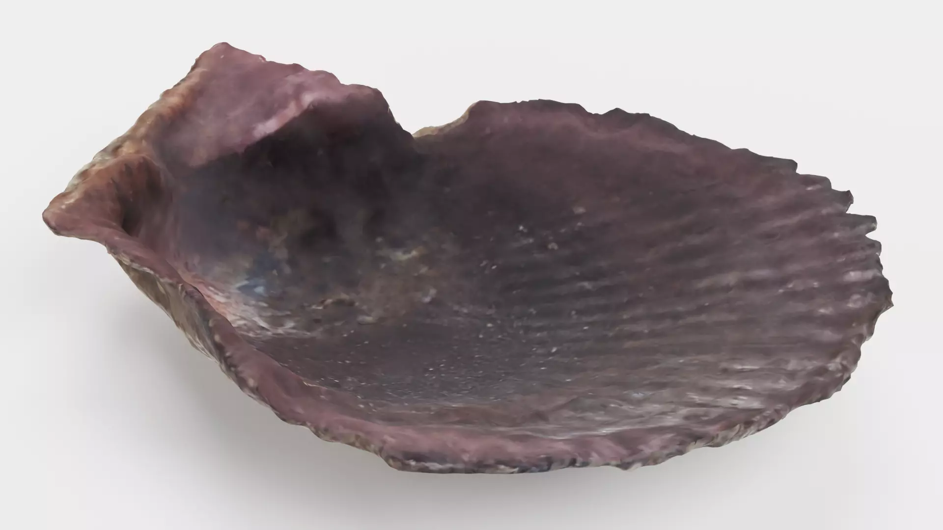 -Shell Dark- 3D model_6