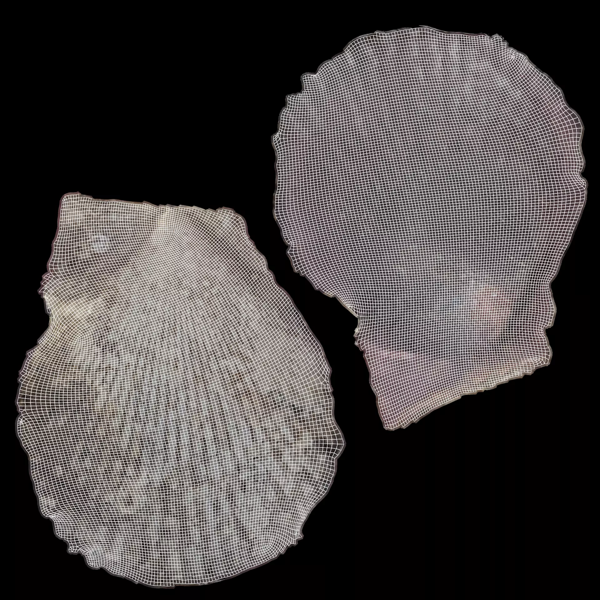 -Shell Dark- 3D model_9