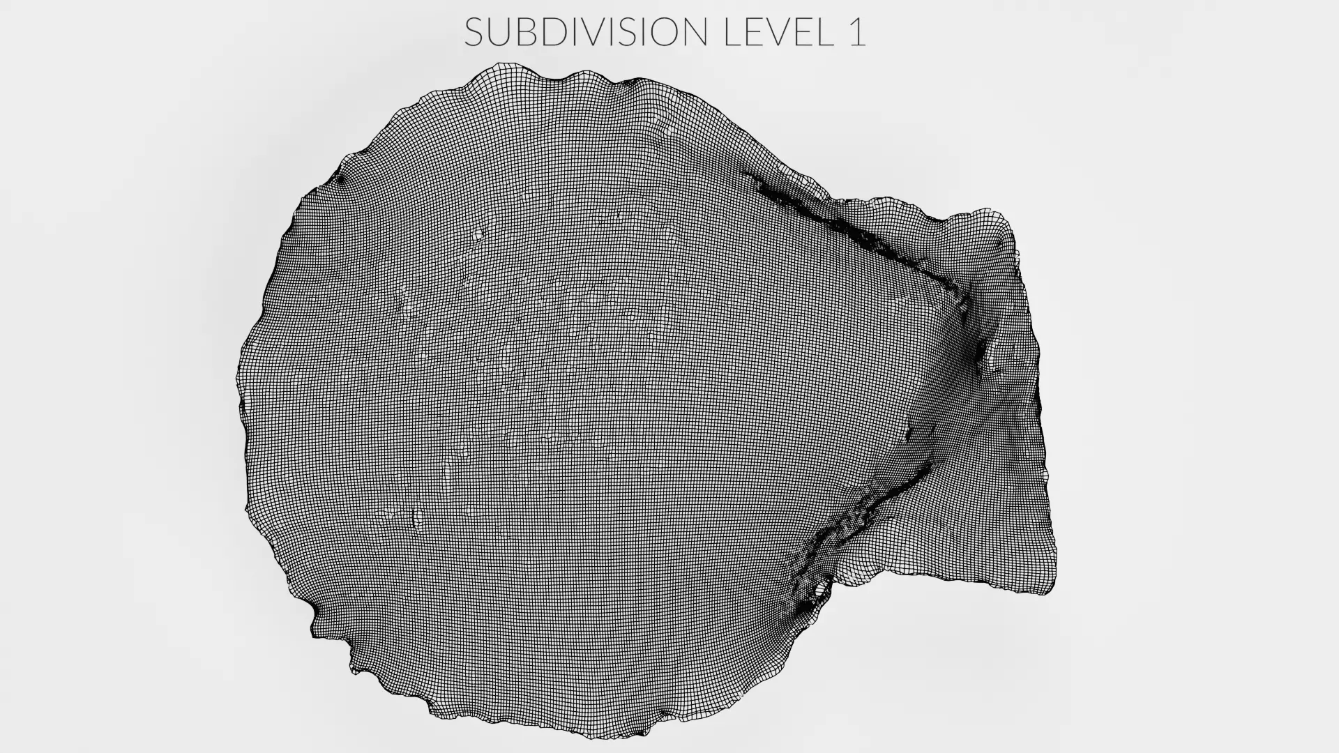 -Shell Dark- 3D model_13