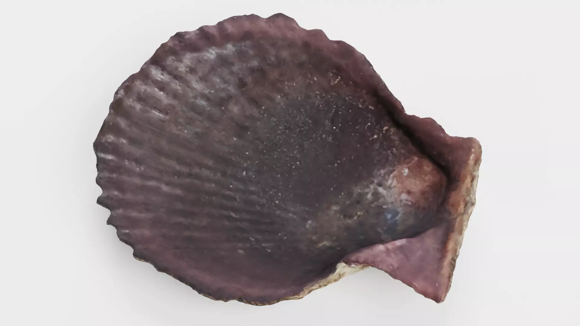 -Shell Dark- 3D model_7