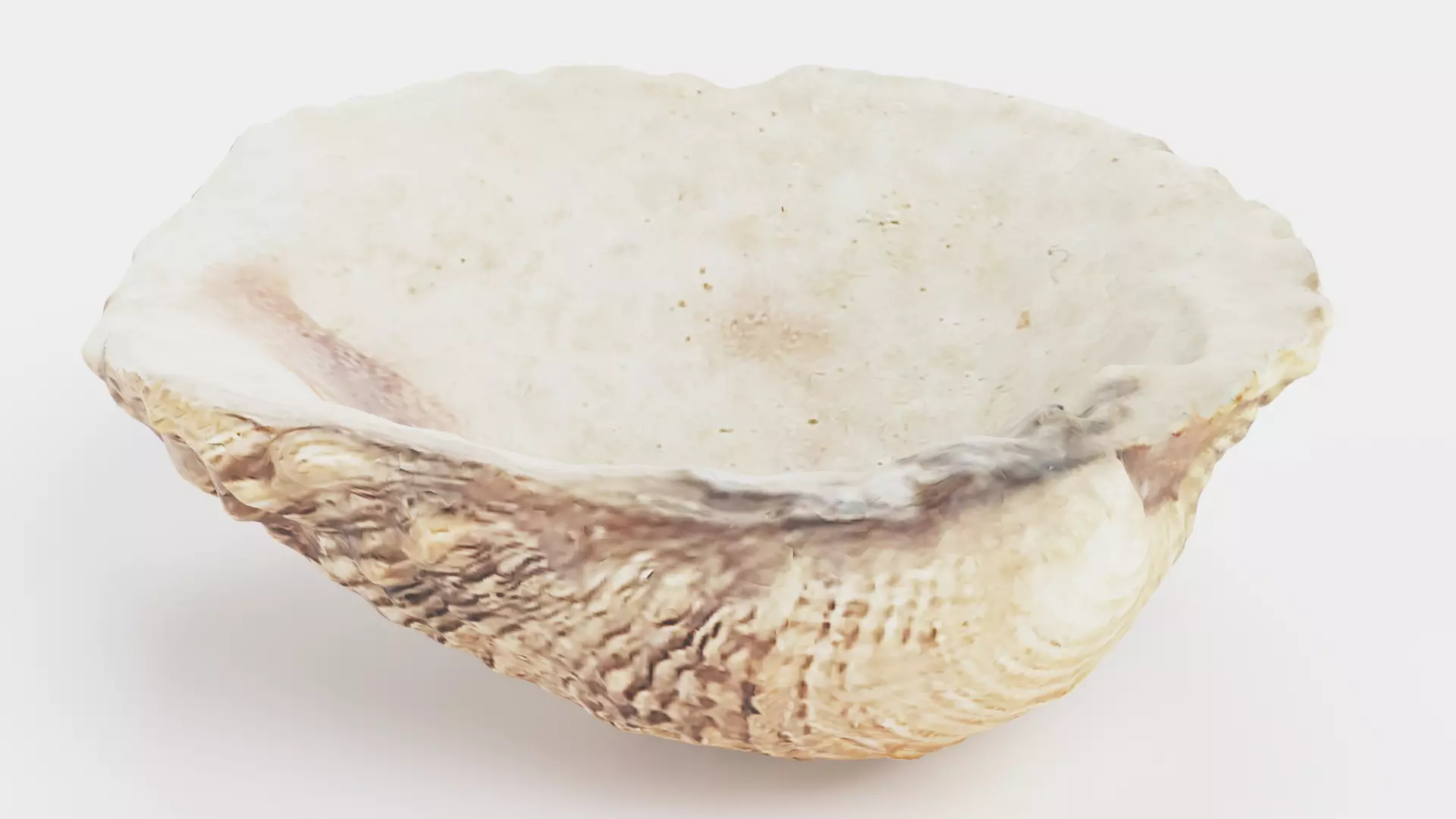 -Shell Light- 3D model_5