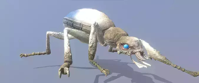 Gray Beetle Bug Walk Fbx Png