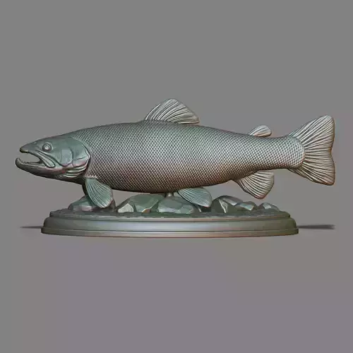 Brown trout fish on the base