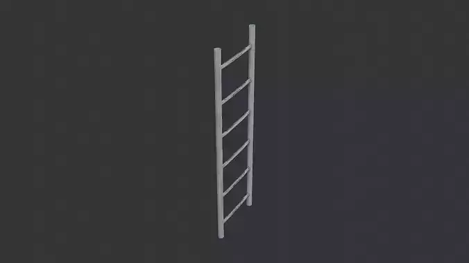 Water Tank Ladder for Industrial Maintenance