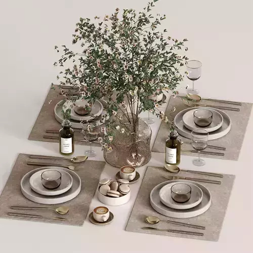 tableware set 058