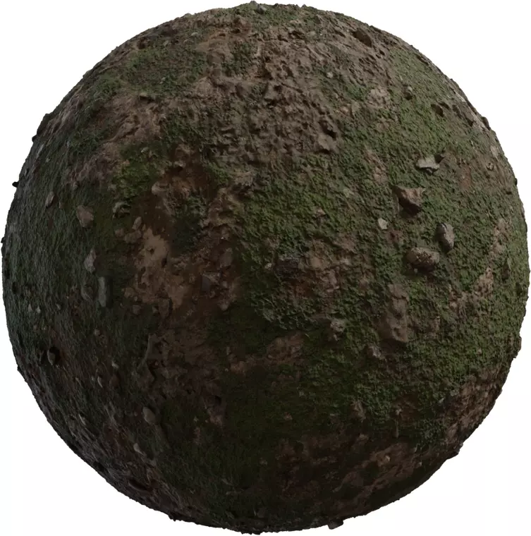 Mossy Mudrock Ground PBR Texture Texture_0