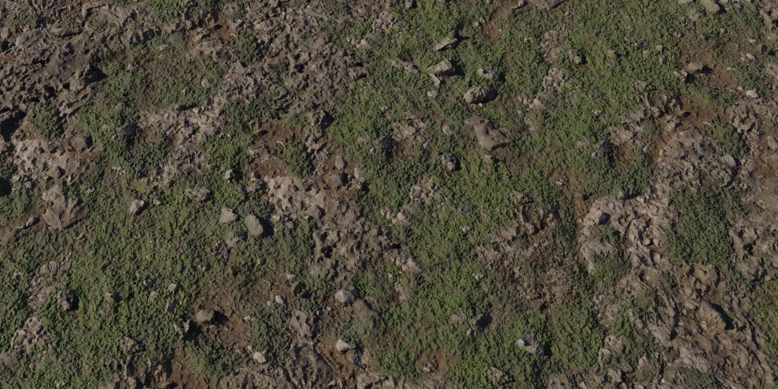 Mossy Mudrock Ground PBR Texture Texture_1