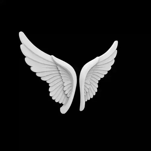 Minimalist Angel Wings 3D Print Model