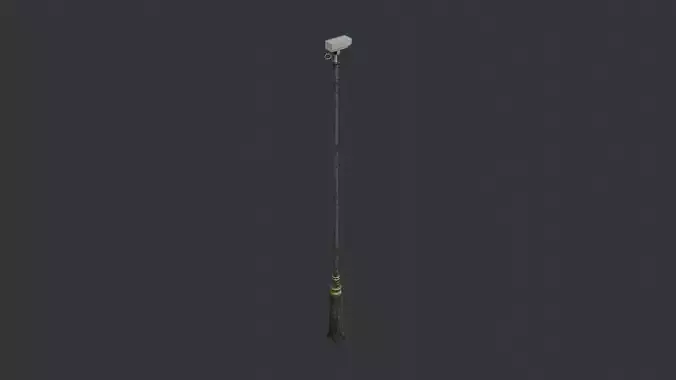 Exterior Street Lamp Post with Camera Wet Finish