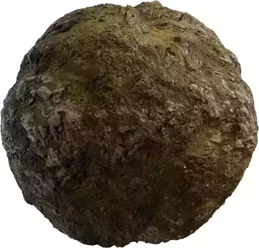 Rocky Moor Grass Blend