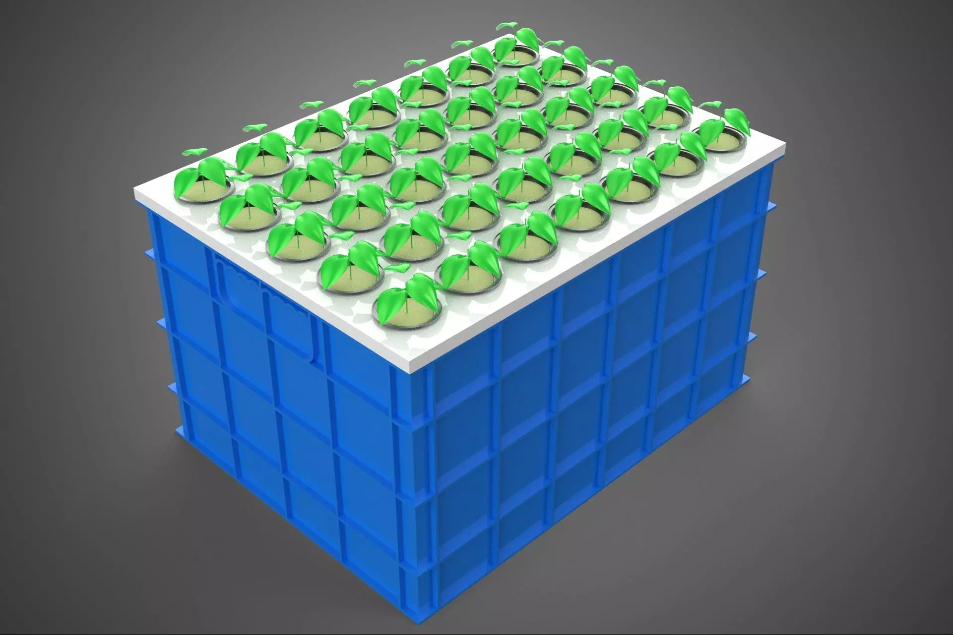 AEROPONICS BOX GRID SEEDLING PLANT ROOT TRAY CULTIVATION GARDEN 3D model_5