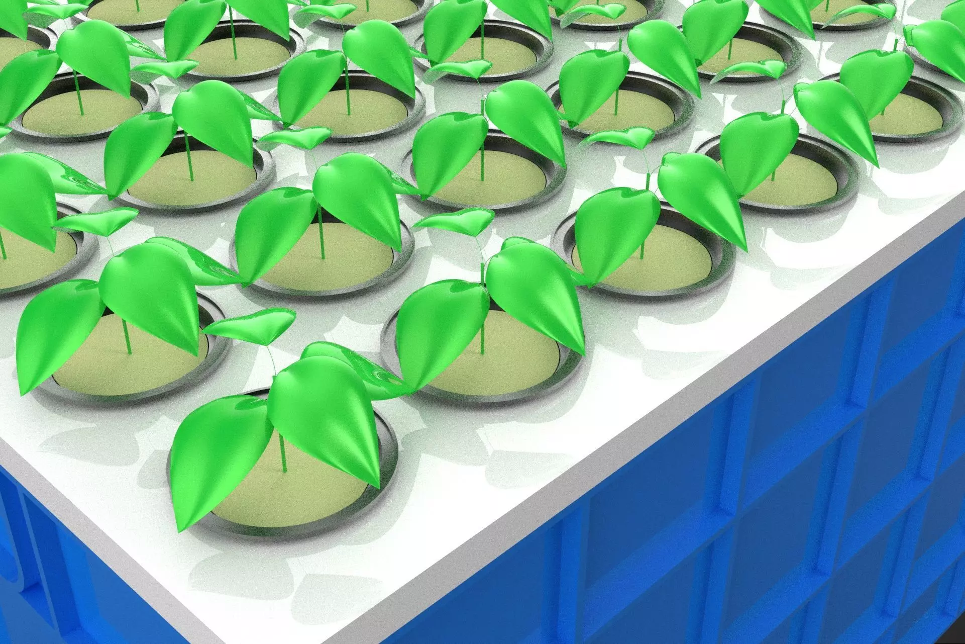 AEROPONICS BOX GRID SEEDLING PLANT ROOT TRAY CULTIVATION GARDEN 3D model_21