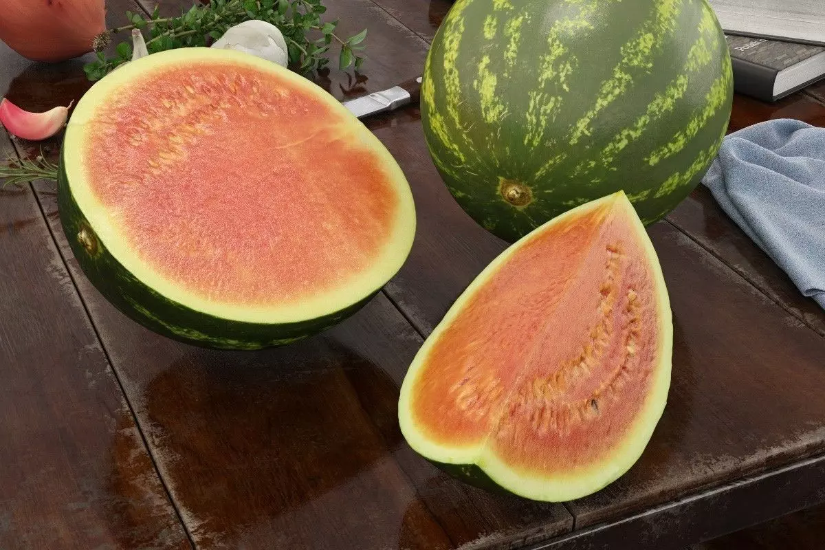 Food 40 AM170 3D model_0