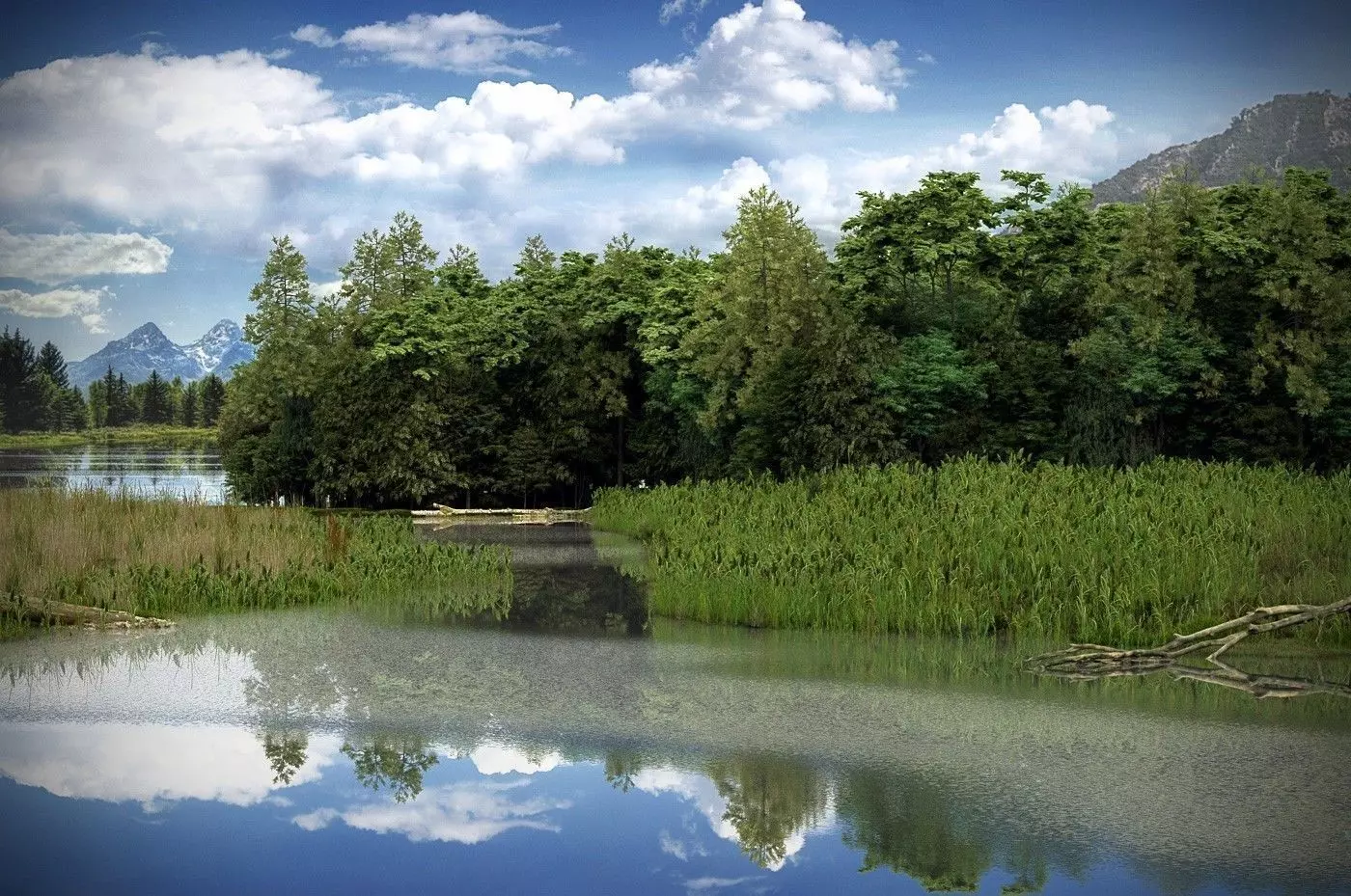 Archmodels vol 171 - low poly animated trees 3D model_0