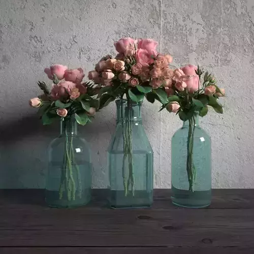 plant 09 am173 3D model