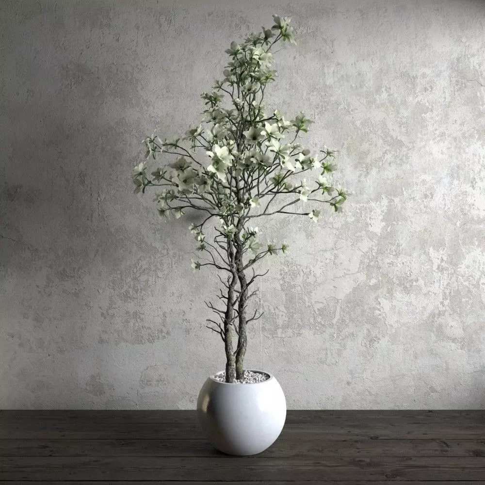 plant 21 am173 3D model_0