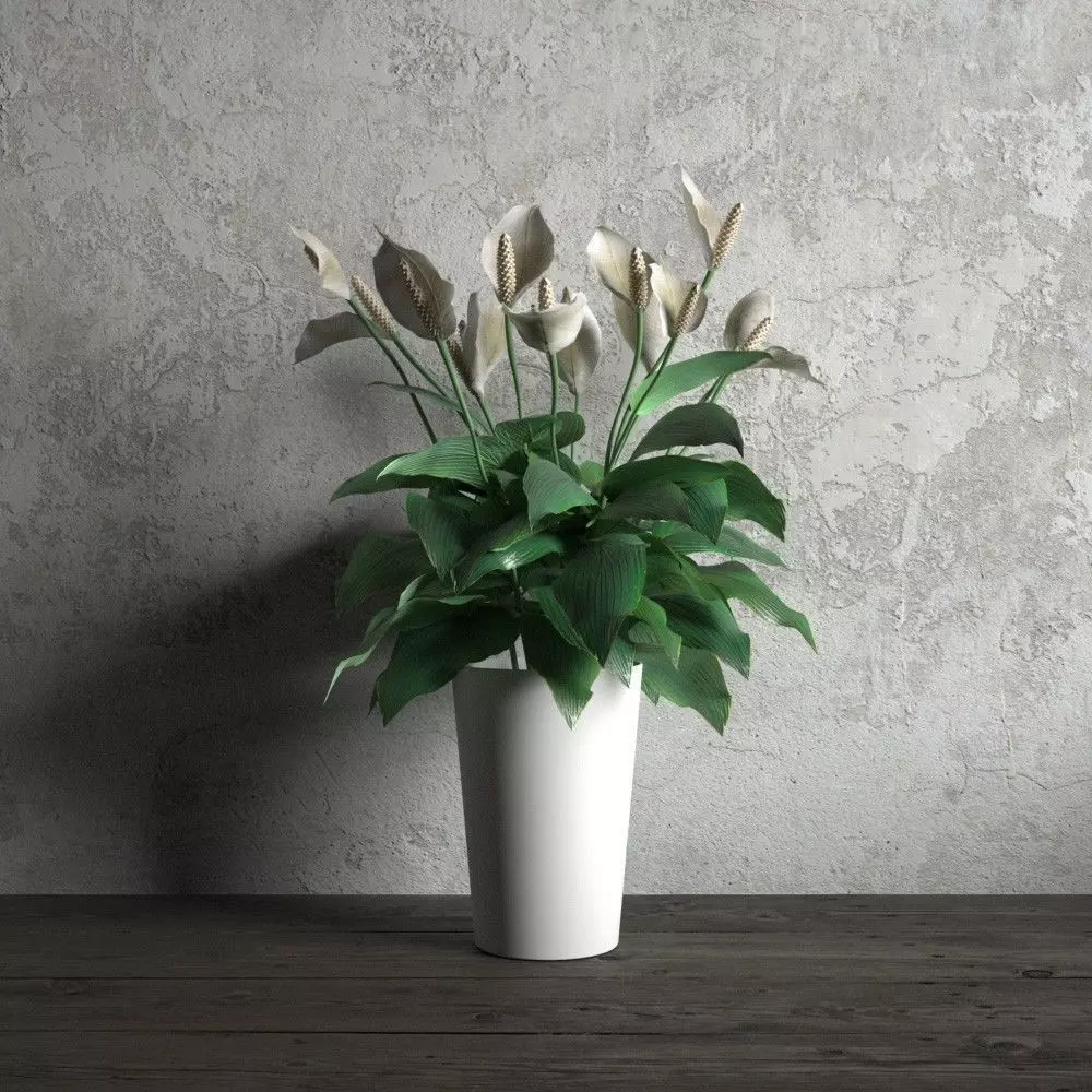 plant 32 am173 3D model_0