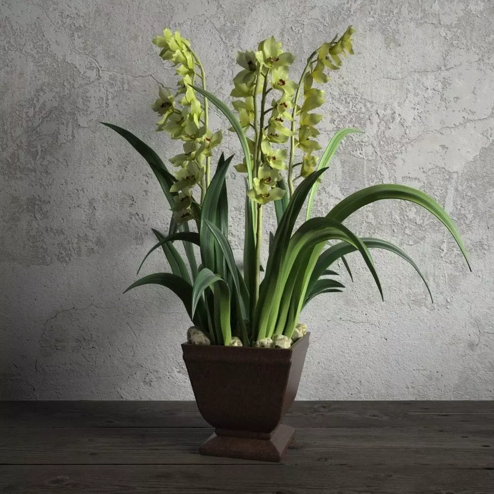 plant 53 am173 3D model_0