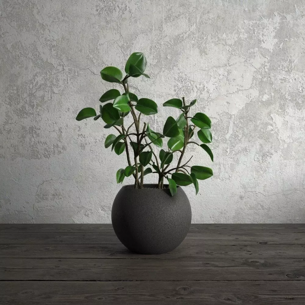 plant 56 am173 3D model_0