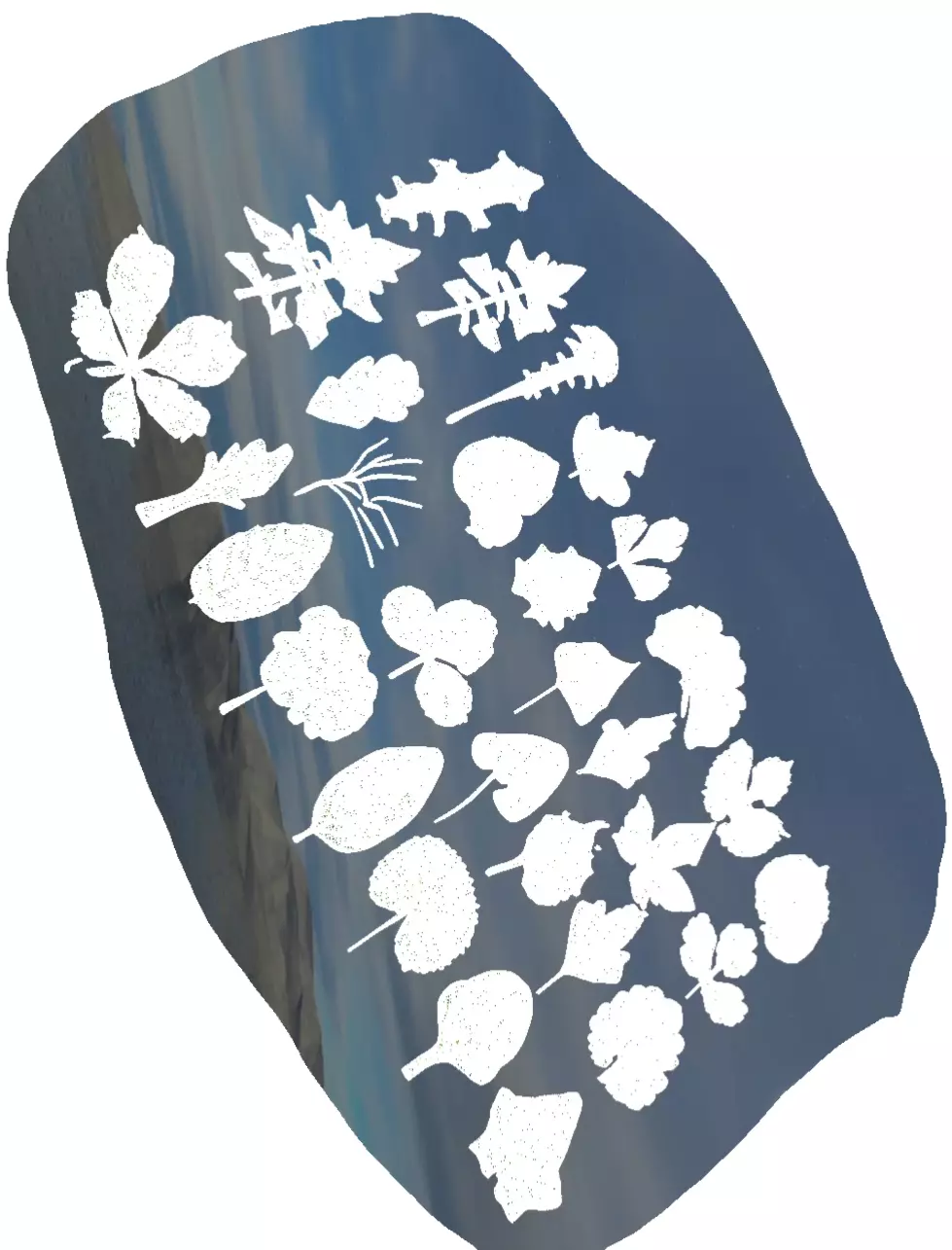 25 Realistic 3D Leaves 3D print model_3