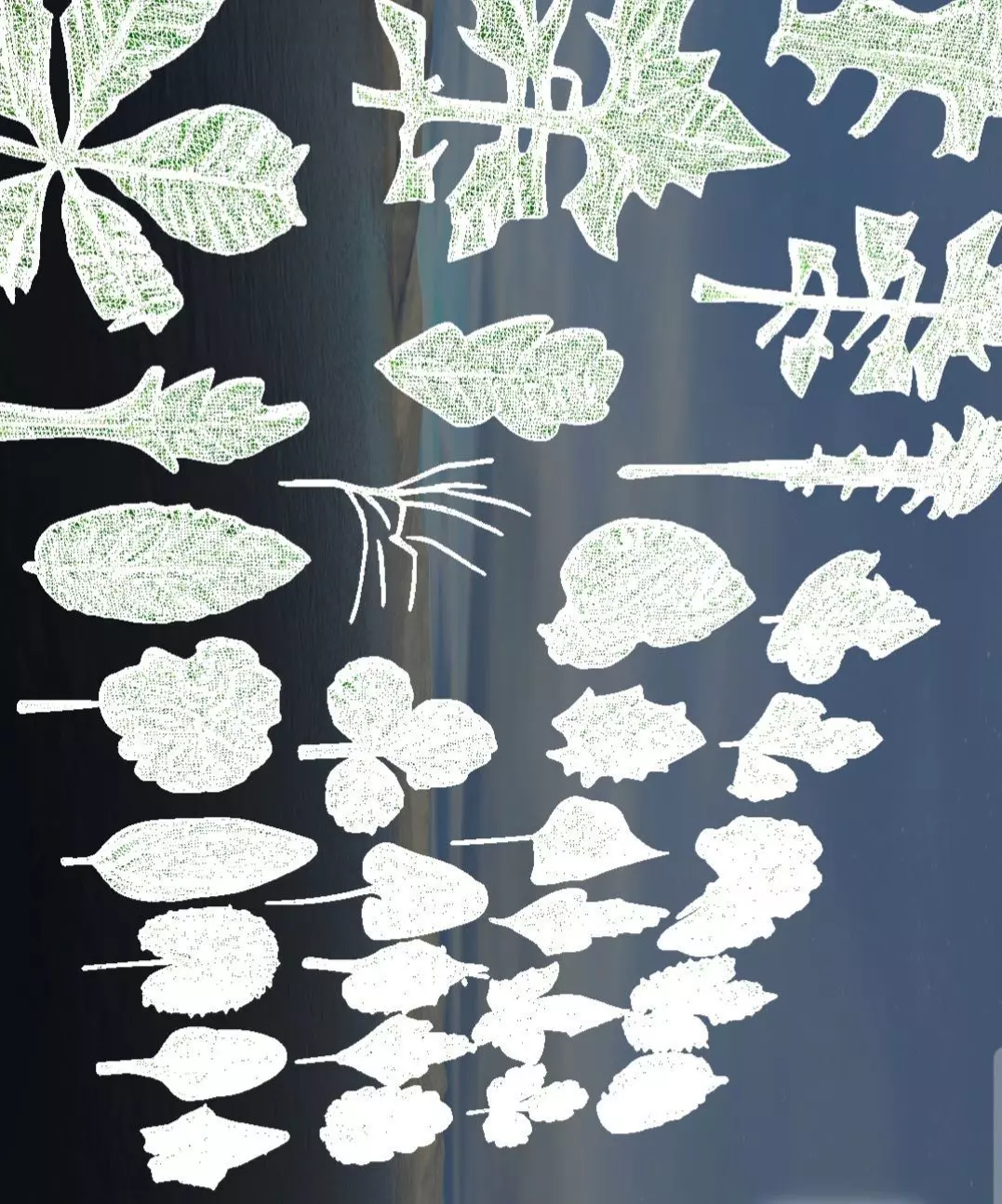 25 Realistic 3D Leaves 3D print model_10