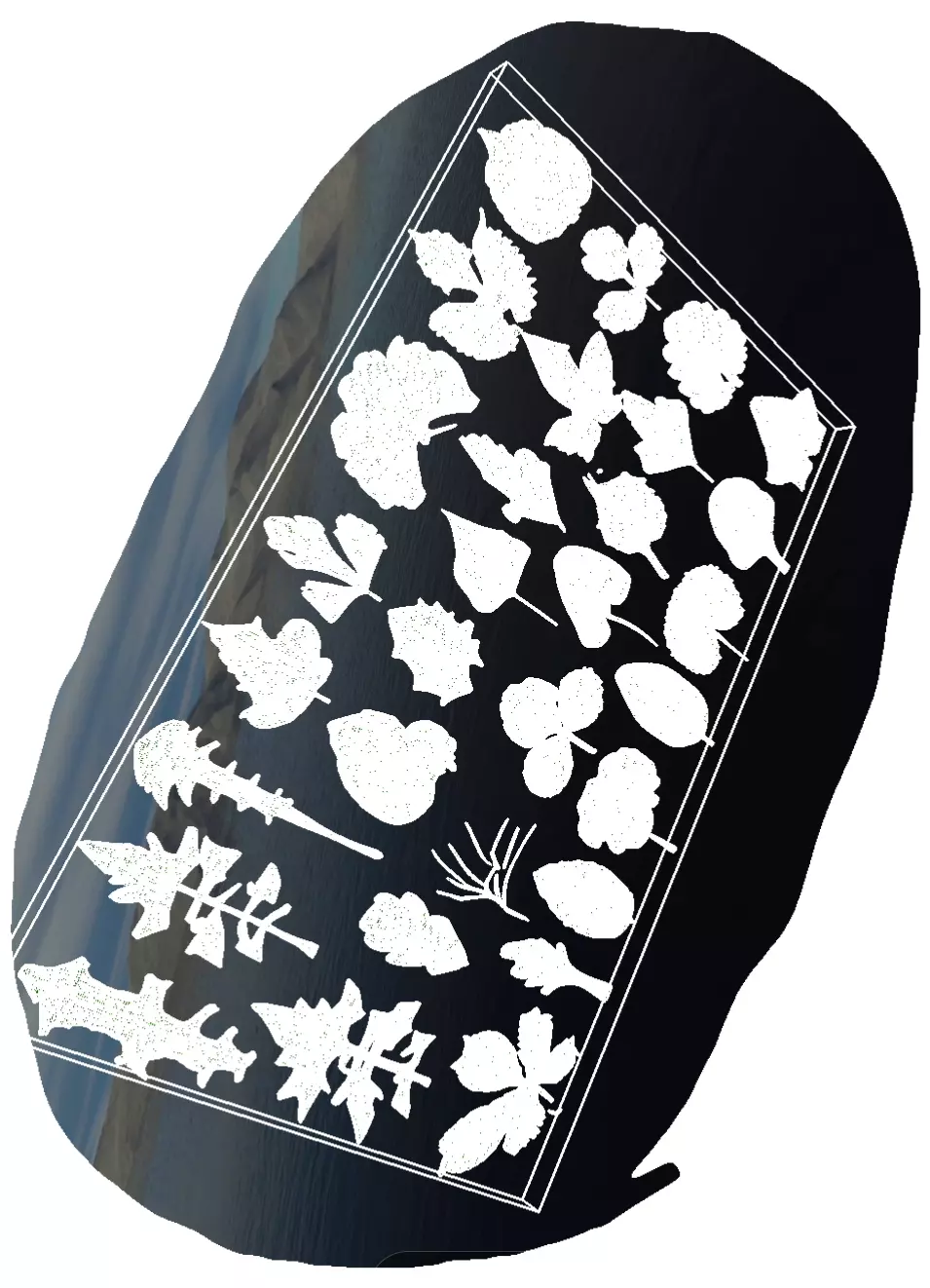 25 Realistic 3D Leaves 3D print model_5