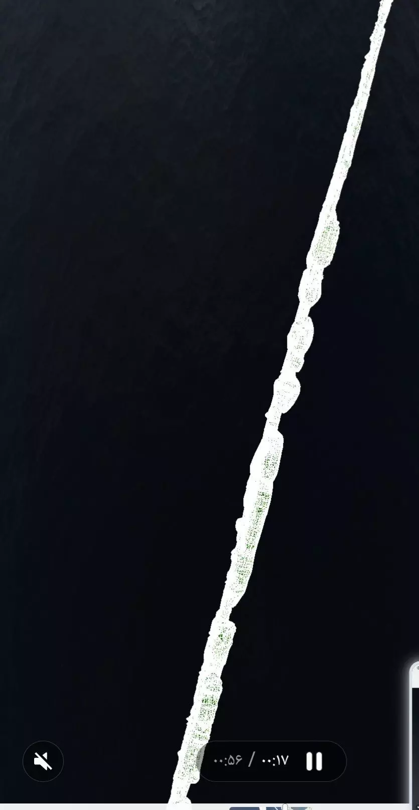 25 Realistic 3D Leaves 3D print model_7