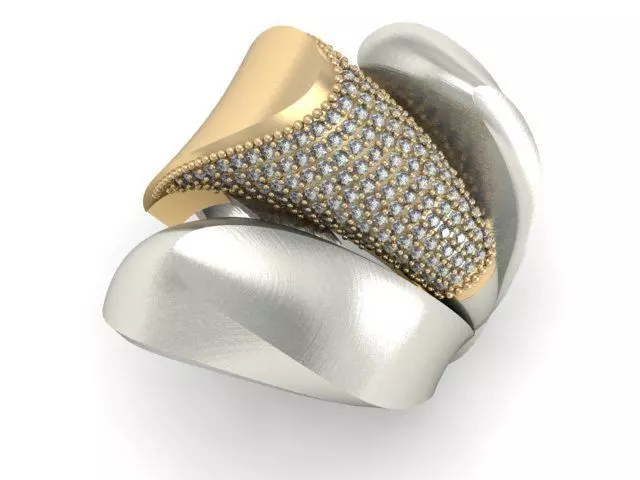 20 Ring Fantasy 3dm 3D print model_27